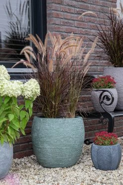 Bloempot Arizona Bullet Cypress Wash - D23 X H20.5cm - Groen 7 Bloempot Arizona Bullet Cypress Wash - D23 X H20.5cm - Groen -Groen Decor Verkoop arizona bullet cypress wash d23h205 bloempot 7 9