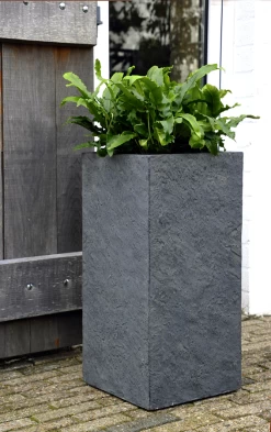 Plantenbak Arizona Cubihi - L22 X B22 X H50cm - Donkergrijs -Groen Decor Verkoop arizona cubihi graphite w22h50 plantenbak 7 4