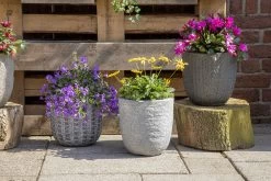 Bloempot Arkansas Egg Washed - D45 X H43cm - Lichtgrijs 7 Bloempot Arkansas Egg Washed - D45 X H43cm - Lichtgrijs -Groen Decor Verkoop arkansas egg pot washed grey d45h43 bloempot 7 9