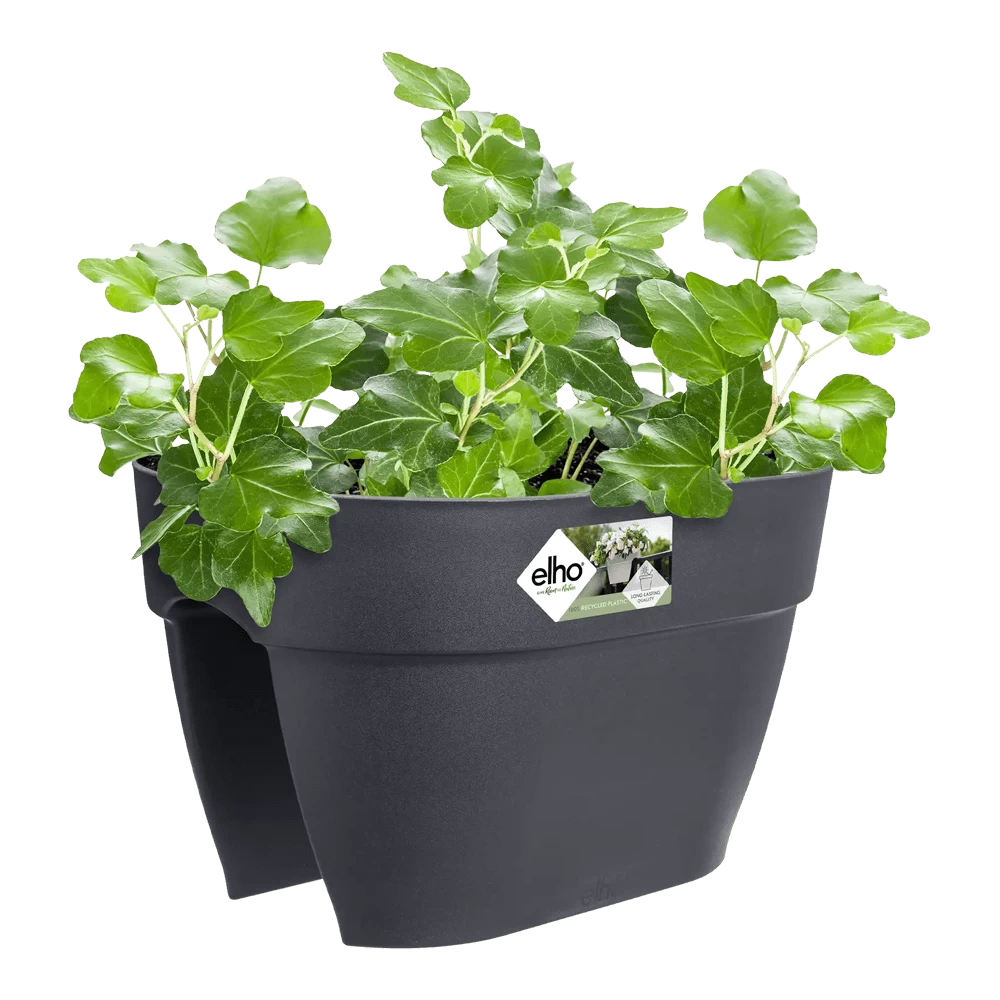 Elho Balkonbak Vibia Campana Bridge 40cm - Antraciet 5 Elho Balkonbak Vibia Campana Bridge 40cm - Antraciet - Afbeelding 3