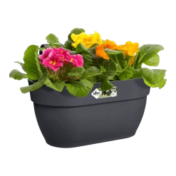 Elho Balkonbak Vibia Campana Easy Hanger Medium - Antraciet -Groen Decor Verkoop balkonbak vibia campana easy hanger medium antraciet balkonbak antraciet 4 1