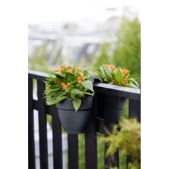 Elho Balkonbak Vibia Campana Twin 21cm - Antraciet 12 Elho Balkonbak Vibia Campana Twin 21cm - Antraciet -Groen Decor Verkoop balkonbak vibia campana twin 21cm antraciet balkonbak antraciet 5 1