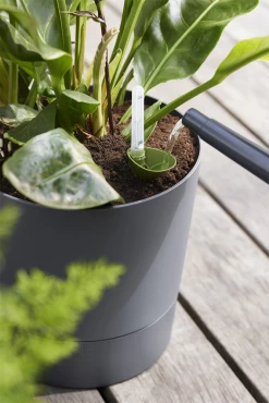 Bloempot Elho Greensense Aqua Care Rond - D35 X H34cm - Houtskoolgrijs -Groen Decor Verkoop bloempot elho greensense aqua care rond d35 x h34cm houtskoolgrijs bloempot 6 1