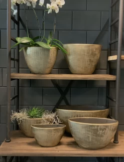 Bloempot Kos Ovaal - L35 X B16 X H19cm - Goud -Groen Decor Verkoop bloempot kos serie ovaal goud bloempot 3 1