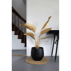 Bloempot Petra - D19 X H16cm - Mat Zwart 8 Bloempot Petra - D19 X H16cm - Mat Zwart -Groen Decor Verkoop bloempot petra mat zwart 3