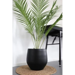 Bloempot Petra - D19 X H16cm - Mat Zwart 9 Bloempot Petra - D19 X H16cm - Mat Zwart -Groen Decor Verkoop bloempot petra mat zwart 4