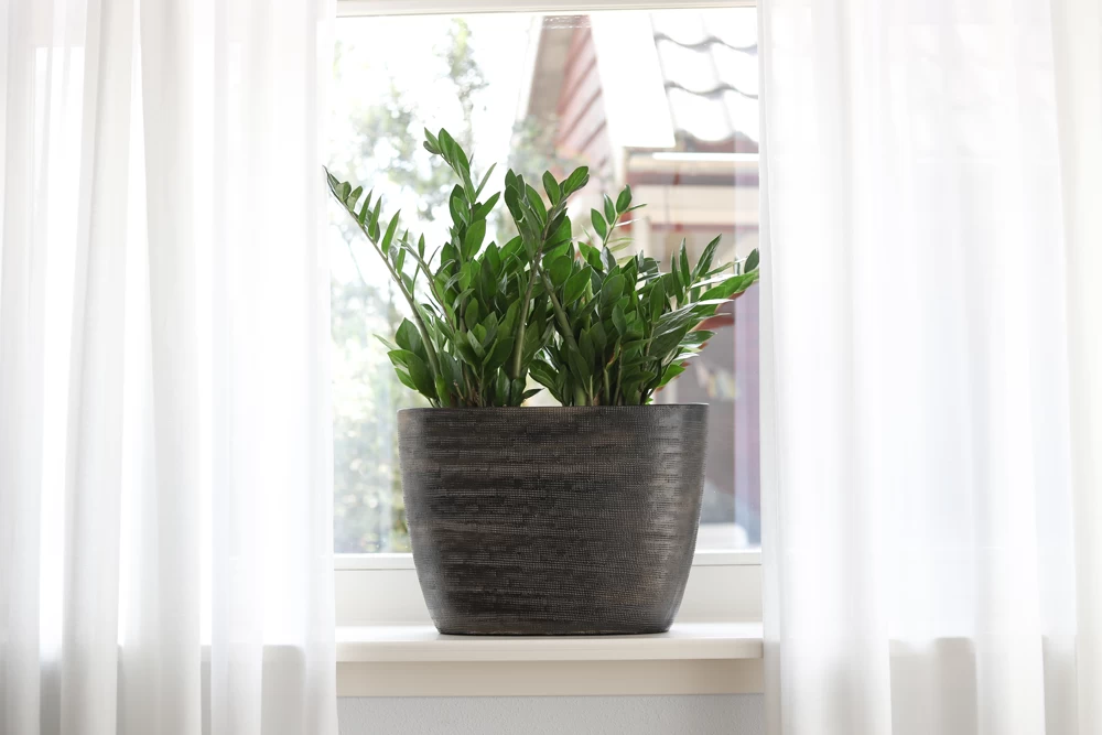 Bloempot Tokio Ovaal - L40 X B14 X H12cm - Goud 4 Bloempot Tokio Ovaal - L40 X B14 X H12cm - Goud - Afbeelding 2