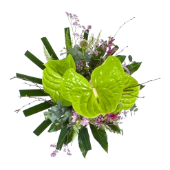 Boeket Anthurium Groot 9 Boeket Anthurium Groot -Groen Decor Verkoop boeket anthurium boeketten 2