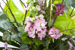 Boeket Anthurium Groot 10 Boeket Anthurium Groot -Groen Decor Verkoop boeket anthurium boeketten 3