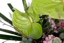 Boeket Anthurium Groot 11 Boeket Anthurium Groot -Groen Decor Verkoop boeket anthurium boeketten 4