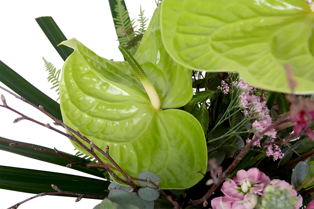 Boeket Anthurium Groot 6 Boeket Anthurium Groot - Afbeelding 4