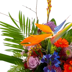 Boeket Deluxe Special Voor Jou Klein 9 Boeket Deluxe Special Voor Jou Klein -Groen Decor Verkoop boeket deluxe special voor jou boeketten 3