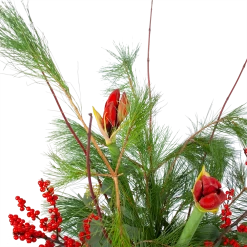 Boeket Deluxe Winter Klein -Groen Decor Verkoop boeket deluxe winter boeketten 3 1