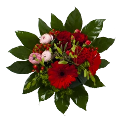 Nieuwkomers -Groen Decor Verkoop boeket fijne moederdag 2 1