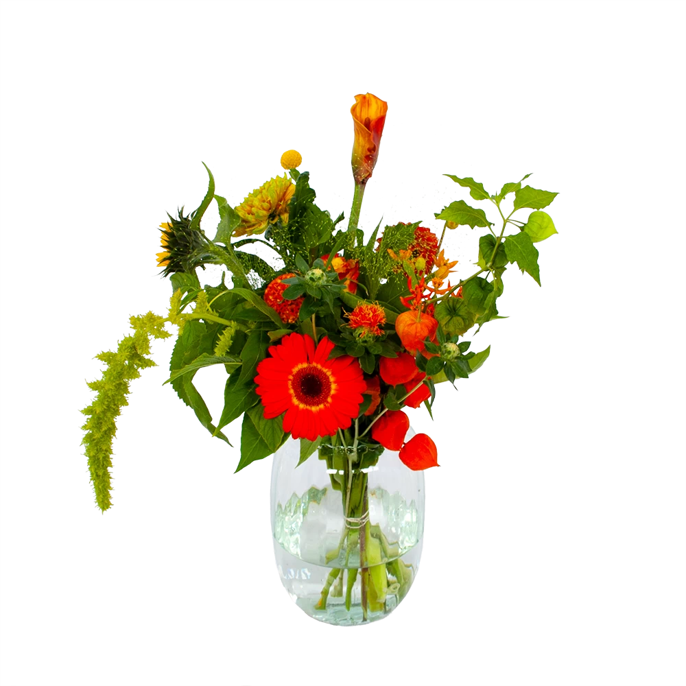 Boeket Herfst Uit Het Veld Middel 3 Boeket Herfst Uit Het Veld Middel