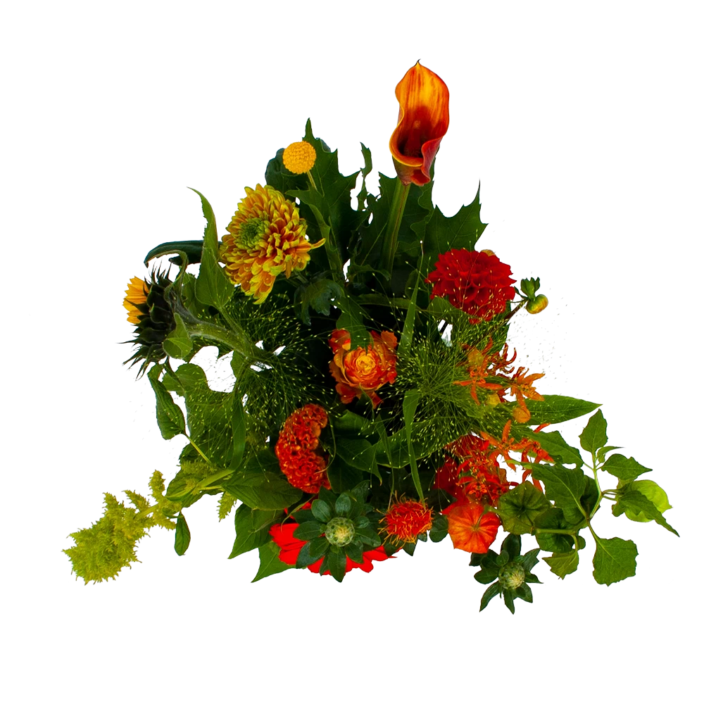 Boeket Herfst Uit Het Veld Middel 4 Boeket Herfst Uit Het Veld Middel - Afbeelding 2