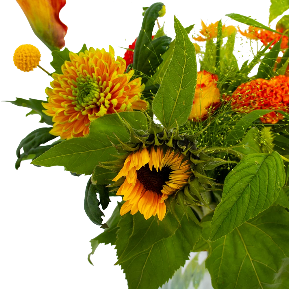 Boeket Herfst Uit Het Veld Middel 6 Boeket Herfst Uit Het Veld Middel - Afbeelding 4