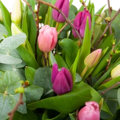 Boeket Kleurrijke Tulp Klein -Groen Decor Verkoop boeket kleurrijke tulp boeketten 3