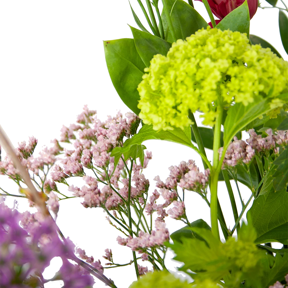 Boeket Kleurrijke Verrassing Klein 4 Boeket Kleurrijke Verrassing Klein - Afbeelding 2