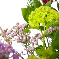 Boeket Kleurrijke Verrassing Middel -Groen Decor Verkoop boeket kleurrijke verrassing boeketten 2