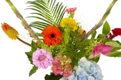 Boeket Lach Groot -Groen Decor Verkoop boeket lach boeketten 3 1