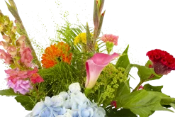 Boeket Lach Middel 11 Boeket Lach Middel -Groen Decor Verkoop boeket lach boeketten 4 1 1