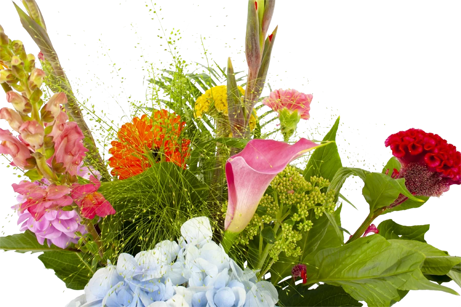 Boeket Lach Middel 6 Boeket Lach Middel - Afbeelding 4