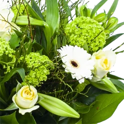 Boeket Miriam Groot 9 Boeket Miriam Groot -Groen Decor Verkoop boeket miriam boeketten 3 1