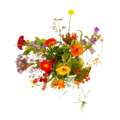 Boeket Plukgeluk Klein 9 Boeket Plukgeluk Klein -Groen Decor Verkoop boeket plukgeluk klein boeketten 2