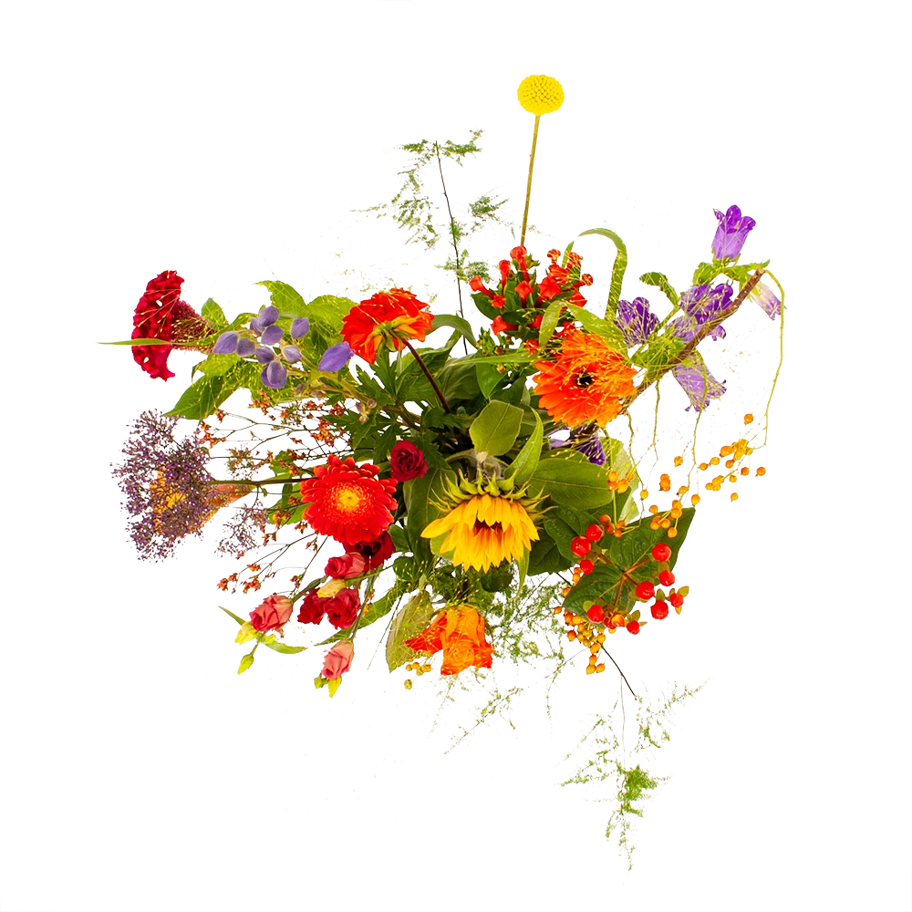 Boeket Plukgeluk Klein 4 Boeket Plukgeluk Klein - Afbeelding 2