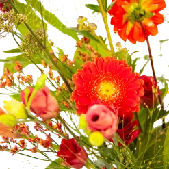 Boeket Plukgeluk Klein 10 Boeket Plukgeluk Klein -Groen Decor Verkoop boeket plukgeluk klein boeketten 3