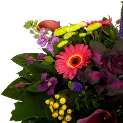 Boeket Purple Middel 10 Boeket Purple Middel -Groen Decor Verkoop boeket purple middel boeketten 3 1