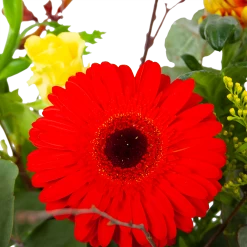 Boeket Speciale Verrassing Middel -Groen Decor Verkoop boeket speciale verrassing boeketten 3