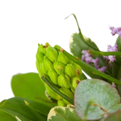 Boeket Vrolijk Seizoen Middel -Groen Decor Verkoop boeket vrolijk seizoen boeketten 3