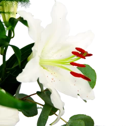 Boeket Witte Winter Groot -Groen Decor Verkoop boeket witte winter boeketten 4