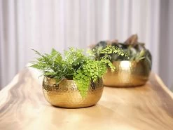 Plantenschaal Kody - D28 X H13cm - Goud 7 Plantenschaal Kody - D28 X H13cm - Goud -Groen Decor Verkoop bowl kody gold d28 h13 schaal 7 12