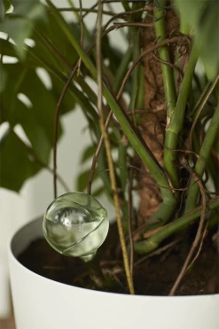 Aqua Care Elho - Transparant 11 Aqua Care Elho - Transparant -Groen Decor Verkoop elho aqua care transparant water geven 7 2