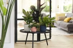 Bloempot Elho Vibes Fold Rond - D22 X H20cm - Diepblauw 13 Bloempot Elho Vibes Fold Rond - D22 X H20cm - Diepblauw -Groen Decor Verkoop elho vibes fold rond 22 blauw d22 h20cm bloempot diepblauw 7 19