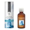 Geurolie Iceberg (Iceberg Fris) 50ml - Boles D'olor -Groen Decor Verkoop geurolie iceberg iceberg fris 50ml boles d olor 1