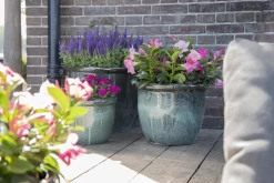 Bloempot Glazed Hp001 - D50 X H39cm - Groen -Groen Decor Verkoop glazed hp001 moss green d50h39 bloempot groen 7 6