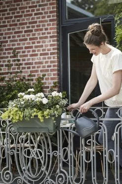 Balkonbak Elho Green Basics XL Allin1 55cm - Bladgroen 9 Balkonbak Elho Green Basics XL Allin1 55cm - Bladgroen -Groen Decor Verkoop green basics balkonbak xl allin1 55cm plantenbak bladgroen 7 14