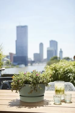 Plantenschaal Elho Greenville 33cm - Bladgroen -Groen Decor Verkoop greenville schaal 33cm bloempot bladgroen 6 13