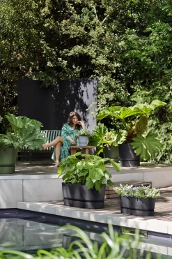 Bloembak Elho Greenville Terrace 80cm - Met Wielen - Living Black -Groen Decor Verkoop greenville terrace trough 80cm wheels plantenbak living black 6 4