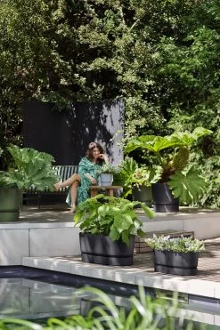 Bloembak Elho Greenville Terrace Long 50cm - Met Wielen - Living Black 9 Bloembak Elho Greenville Terrace Long 50cm - Met Wielen - Living Black -Groen Decor Verkoop greenville trough long 50 plantenbak living black 6 13