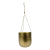 Hangpot Kody - D16 X H18cm - Goud -Groen Decor Verkoop hanger kody gold d16 h18 hangpot 1 4