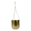 Hangpot Kody - D17 X H20cm - Goud 1 Hangpot Kody - D17 X H20cm - Goud -Groen Decor Verkoop hanger kody gold d17 h20 hangpot 1 4