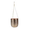 Hangpot Kody - D17 X H20cm - Rosu00e9 Goud 1 Hangpot Kody - D17 X H20cm - Rosu00e9 Goud -Groen Decor Verkoop hangpot kody d17 h20 rose goud hangpot 1 10
