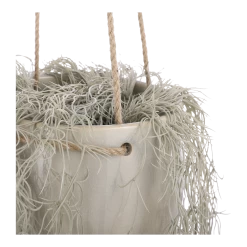 Hangpot Resa - D18,5 X H17cm - Lichtgrijs 9 Hangpot Resa - D18,5 X H17cm - Lichtgrijs -Groen Decor Verkoop hangpot resa d18 5 x h17cm lichtgrijs hangpot 3 1