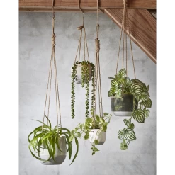 Hangpot Resa - D18,5 X H17cm - Lichtgrijs 11 Hangpot Resa - D18,5 X H17cm - Lichtgrijs -Groen Decor Verkoop hangpot resa d18 5 x h17cm lichtgrijs hangpot 5 1