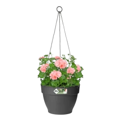Elho Hangschaal Vibia Campana 26cm - Antraciet 8 Elho Hangschaal Vibia Campana 26cm - Antraciet -Groen Decor Verkoop hangschaal vibia campana 26cm antraciet hangpot antraciet 3 1